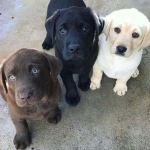 Meet your Posher, Ukiah